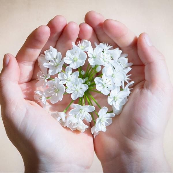 Crema de manos y remedios caseros sencillos para manos secas