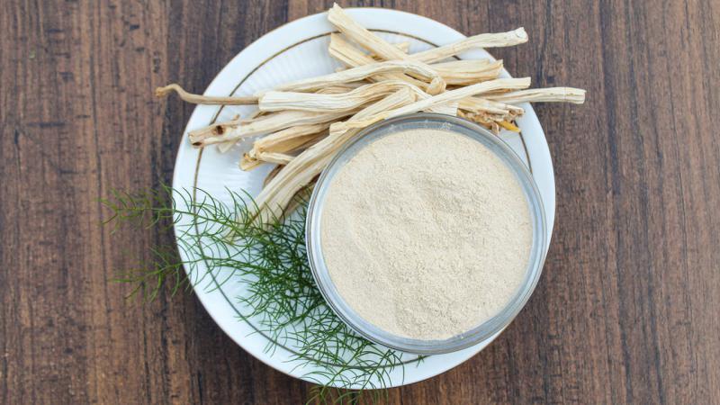 Shatavari: qu&eacute; es y para qu&eacute; sirve este tradicional remedio ayurv&eacute;dico