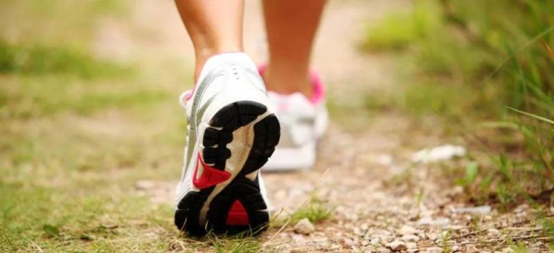 Red de Senderos Urbanos: La iniciativa que reivindica el acto de caminar como una pr&aacute;ctica de bienestar