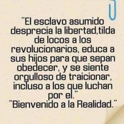 Sí­ndrome del esclavo satisfecho: el neurótico adaptado - Periódico del bien común