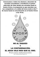 Marcha 11ª  y abrazo al Concejo de Bariloche.