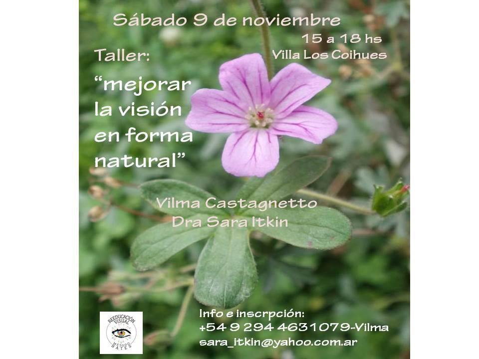 Taller "Mejorar la Visi&oacute;n en forma Natural"