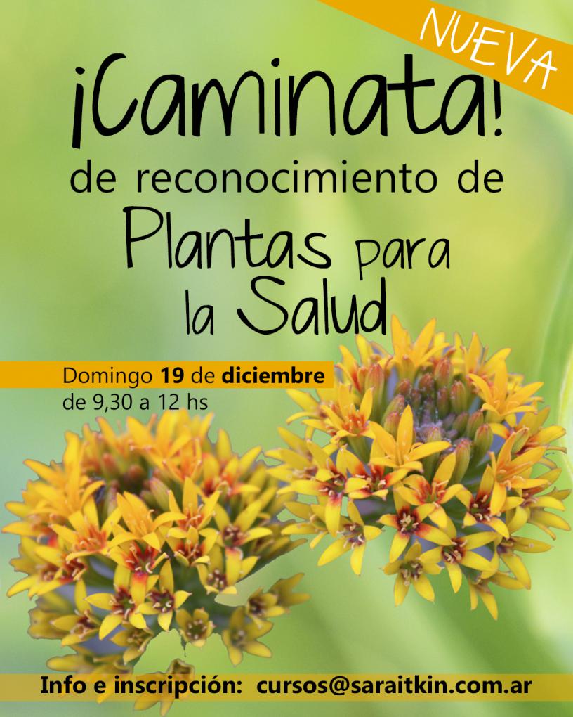 Caminata de reconocimiento de Plantas para la Salud