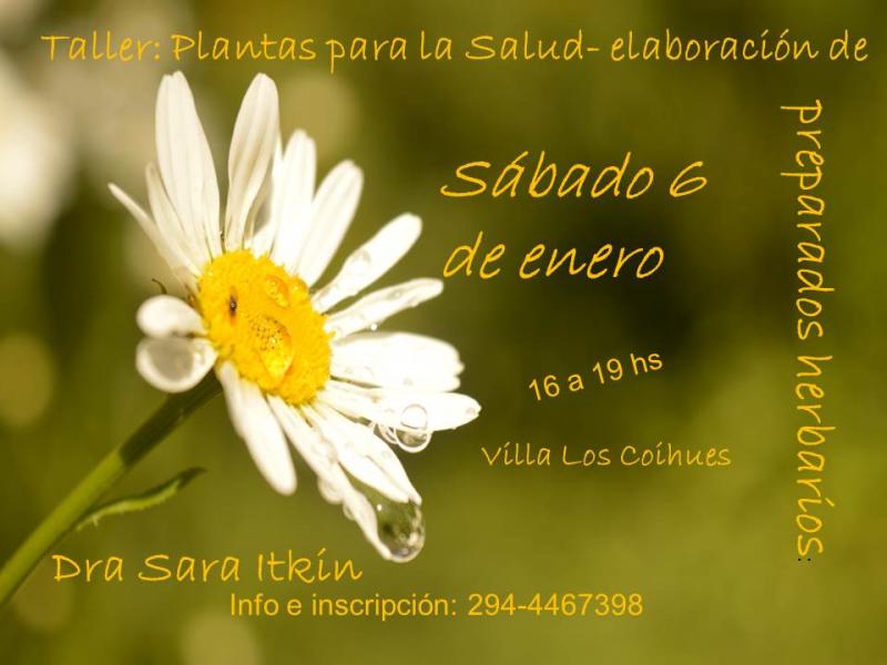 Taller:  Plantas para la Salud