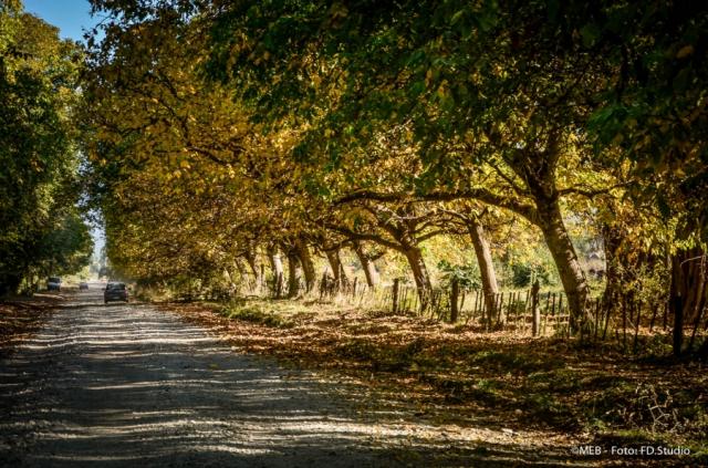 Camino Los Nogales El Bolson Remises Nahuel Paseos y traslados