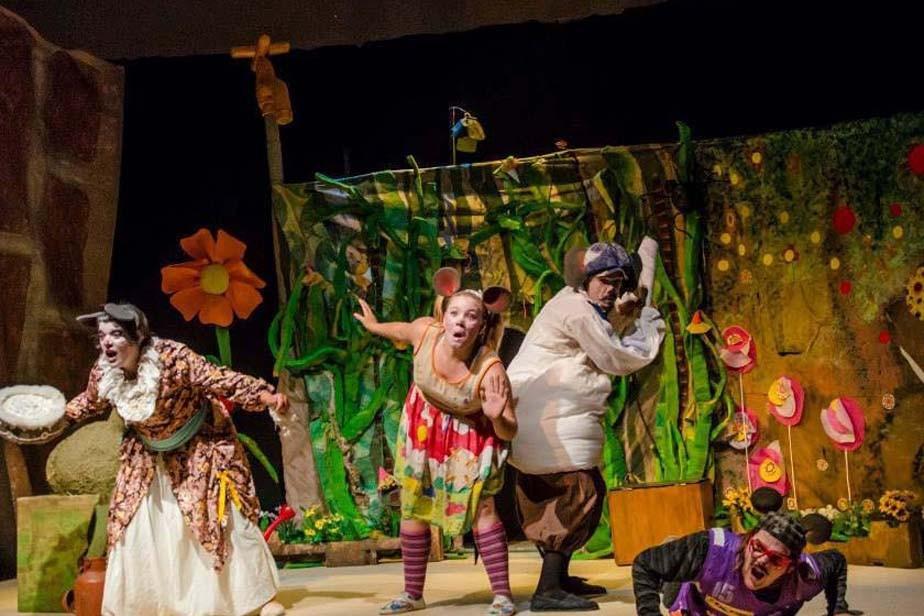 "Marat&oacute;n Cultural"  R&iacute;o negro regresa a los escenarios