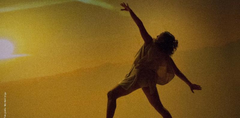 Comienza una nueva edici&oacute;n del Festival Danzarium Patagonia