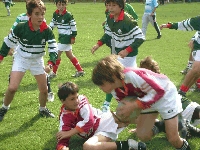 LAGO ESCONDIDO RECIBIRA AL RUGBY INFANTIL