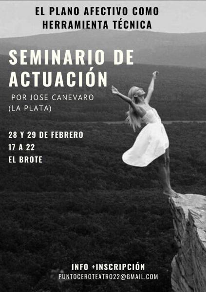 Seminario de actuaci&oacute;n - 'El plano afectivo'