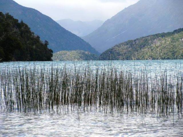 CIRCUITO TRAIL RUNNING - 4 LAGUNAS - BARILOCHE TRAIL EXPERIENCE