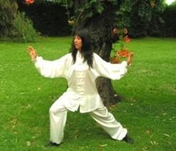 SEMINARIO DE TAIJIQUAN
