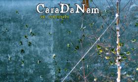 CaraDaNam en Concierto