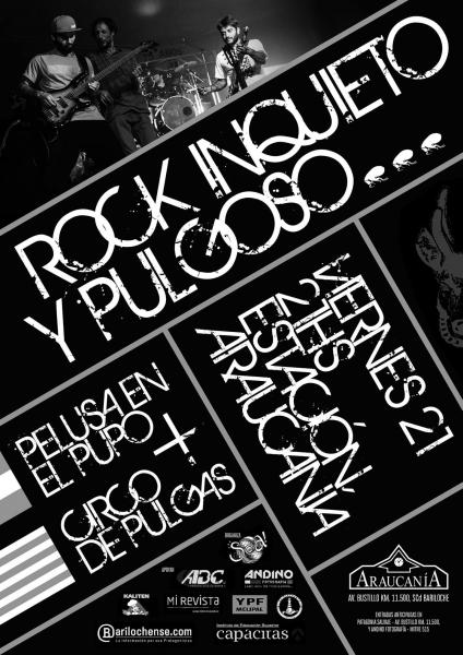 PELUSA EN EL PUPO Y CIRCO DE PULGAS JUNTOS EN ESTACIÓN ARAUCANÍA