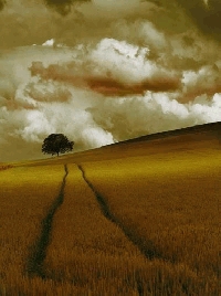 ZEN-TIDO, música-danza-poesía-imágenes