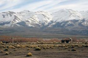 Rub&eacute;n Guzm&aacute;n se alz&oacute; con dos premios internacionales