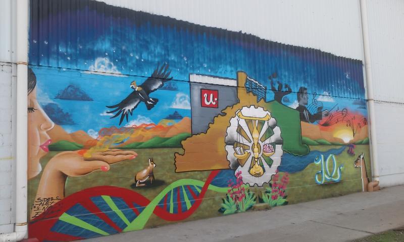 10 A&Ntilde;OS. Pint&oacute; la UNRN