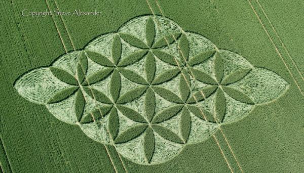 Aparece Crop Circle en Reino Unido 27 junio 2016, La Flor de la Vida