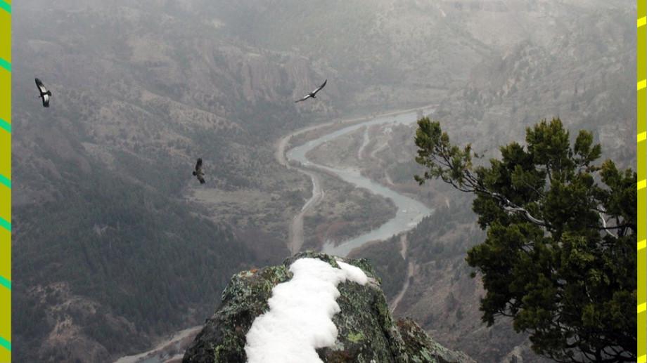 C&oacute;mo fue la antropausa: la naturaleza descans&oacute; de los humanos por el confinamiento