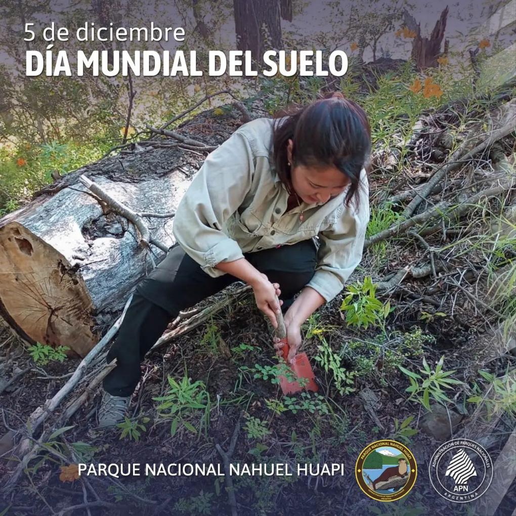 📅 5 de diciembre  D&iacute;a Mundial del Suelo