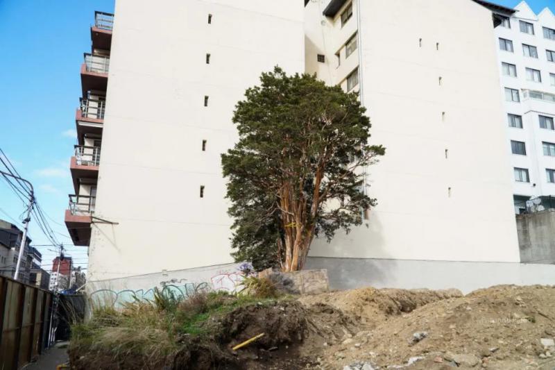 El Array&aacute;n del correo, un sobreviviente al avance del cemento