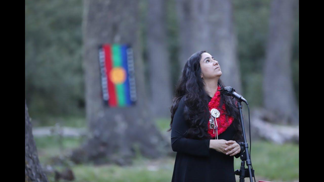 CONCIERTO DEL BOSQUE - ANAHI MARILUAN