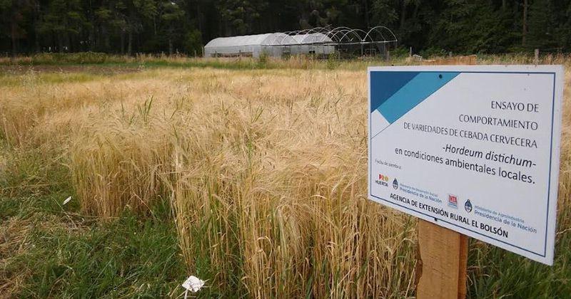 Expertos de la regi&oacute;n elaboraron una cerveza solo con ingredientes patag&oacute;nicos