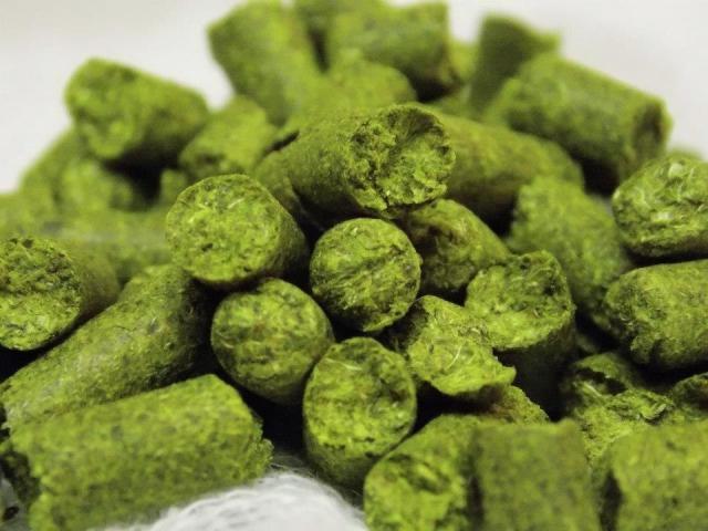 Lúpulo en pellet