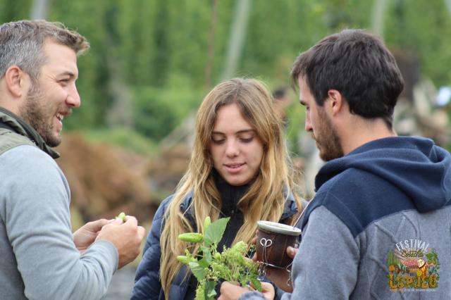 Festival de la Cosecha del Lúpulo