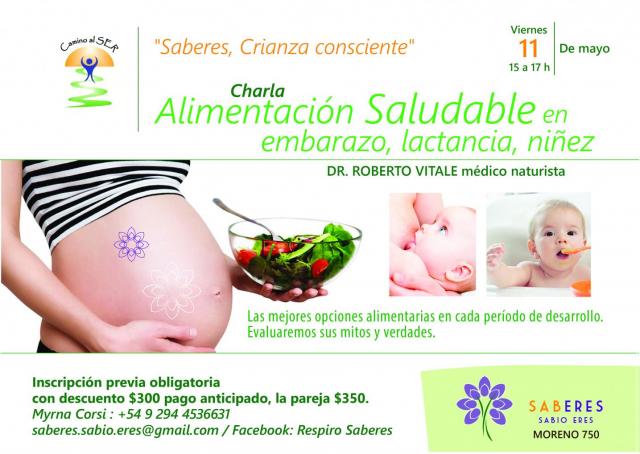 Charla Alimentación saludable en embarazo, lactancia y niñez